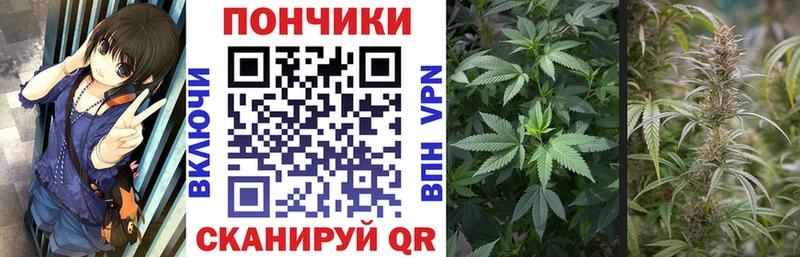Наркотические вещества Кувшиново Гашиш КОКАИН Амфетамин СК Канабис Меф