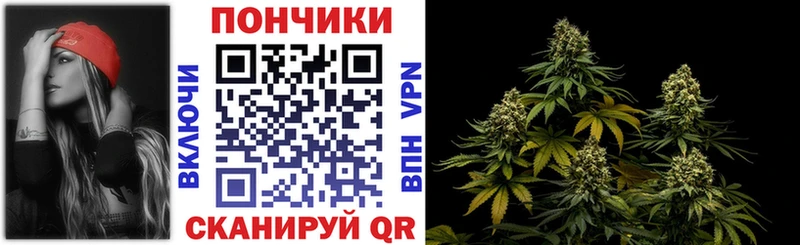 Бошки Шишки сатива  KRAKEN   Кувшиново 